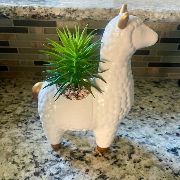 Alpaca Succulent Ceramic Flower Pot New