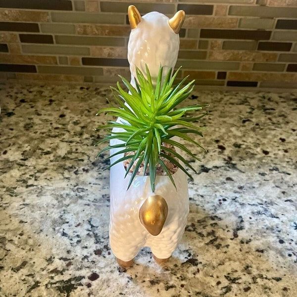 Alpaca Succulent Ceramic Flower Pot New