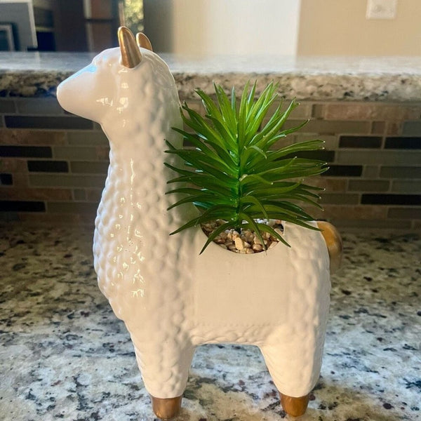 Alpaca Succulent Ceramic Flower Pot New