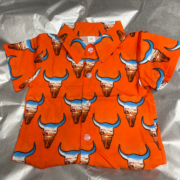 Western Desert Longhorn Button Up